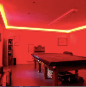 LED Light Strip With Remote