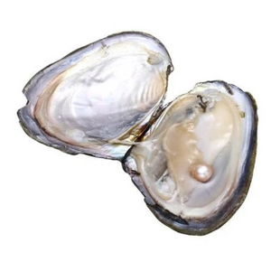 Natural Oyster Pearl Necklace (Kit)